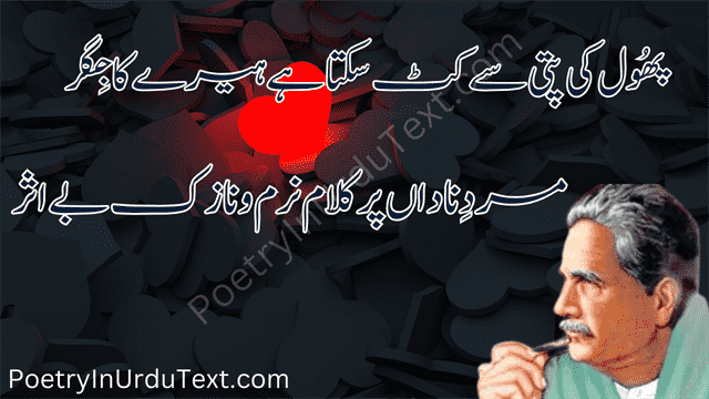 Iqbal Day Poetry in Urdu Written