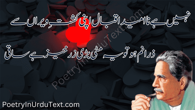 Iqbal poetry in urdu Nahee hy na Umeed iqbal apni kasht e weeran sy
Zara num ho to ye Matti bari zarkhaiz hy saqi