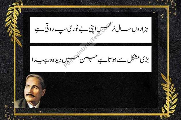 Allama Iqbal Poetry in urdu - Hazaaroon saal nargis apni bay noori pe rooti hy
bari mushkil say hota hy chaman main deeda war paida