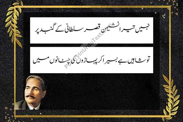 Allama Iqbal poetry in urdu Ni tera nasheman qasr-e-sultani kay gumbad pr
tu shahee hay basaira kr paharon ki chatanoo main