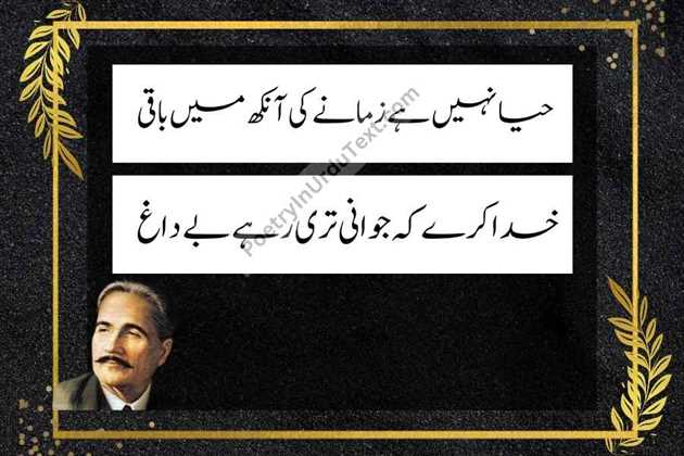 Allama iqbal poetry in urdu text Haya ni hy zamany ki Aankh main baaqi
khuda kray ke jawani teri rhay bay daagh